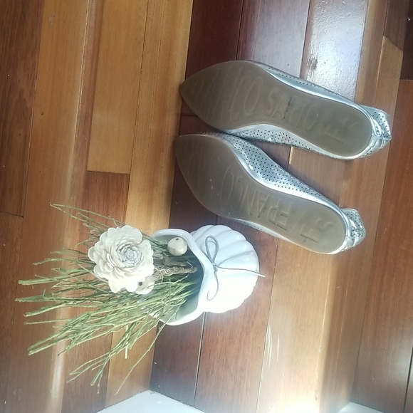 Silver flats - Picture 3 of 5